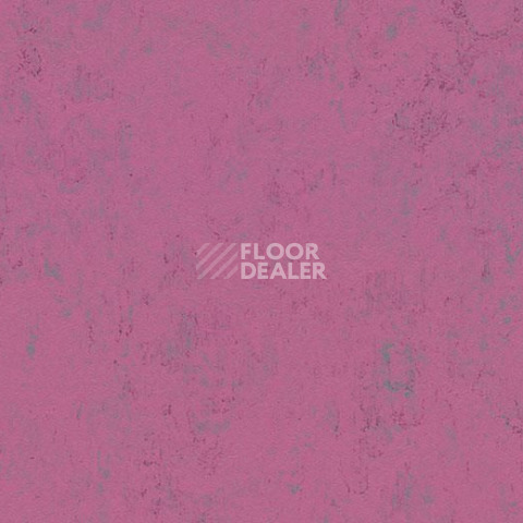 Линолеум Forbo Marmoleum Decibel on Order 374035 purple glow фото 1 | FLOORDEALER